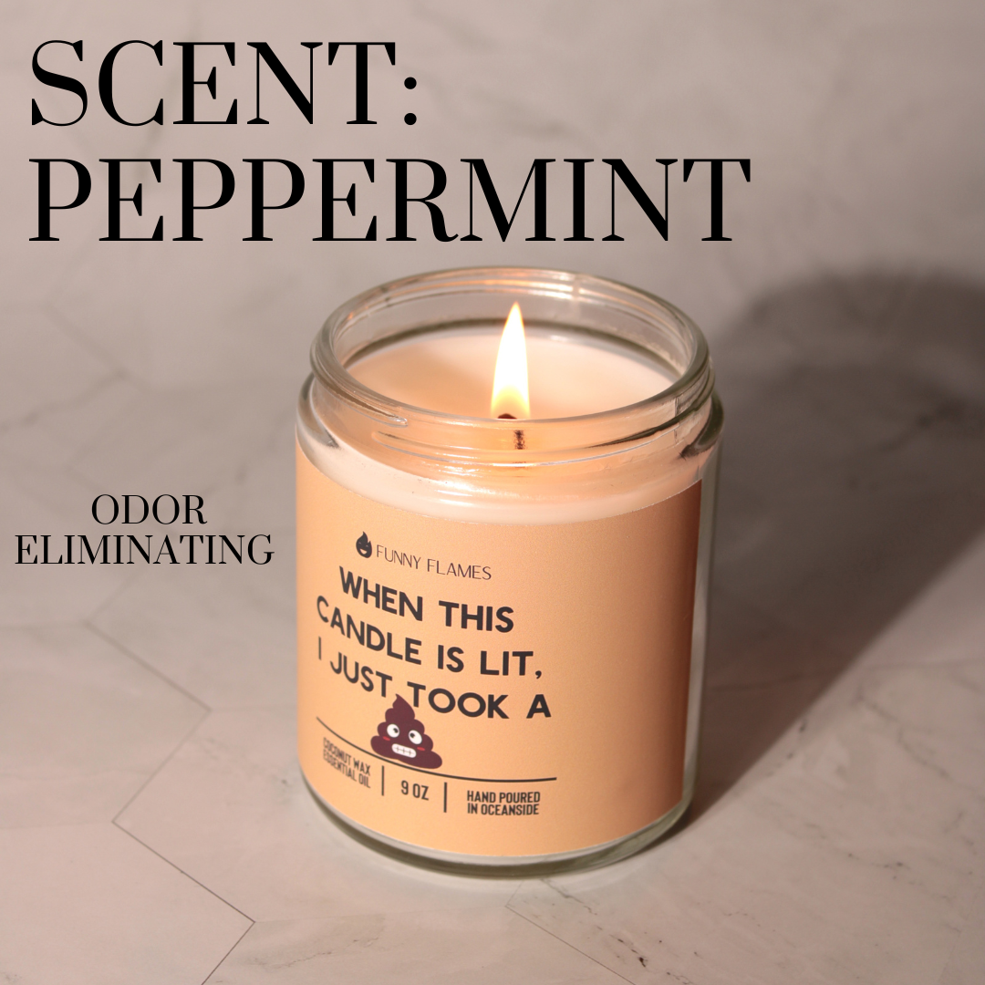 When This Candle Is Lit, I Just Took A Sh*t (PG) | Funny Flames Candle Co