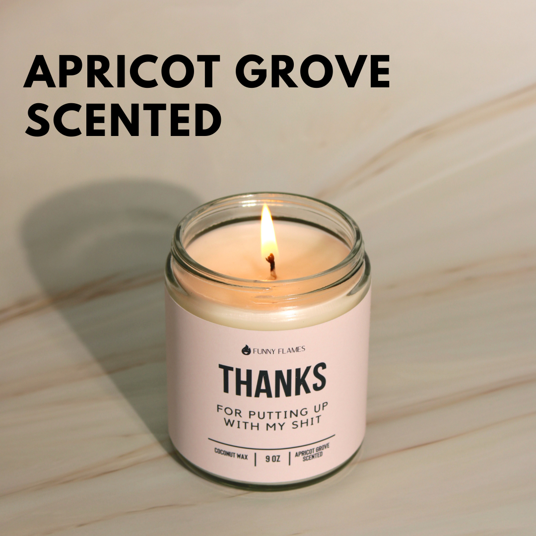 Thanks For Putting Up With My Shit Funny Candle Gift Funny Flames