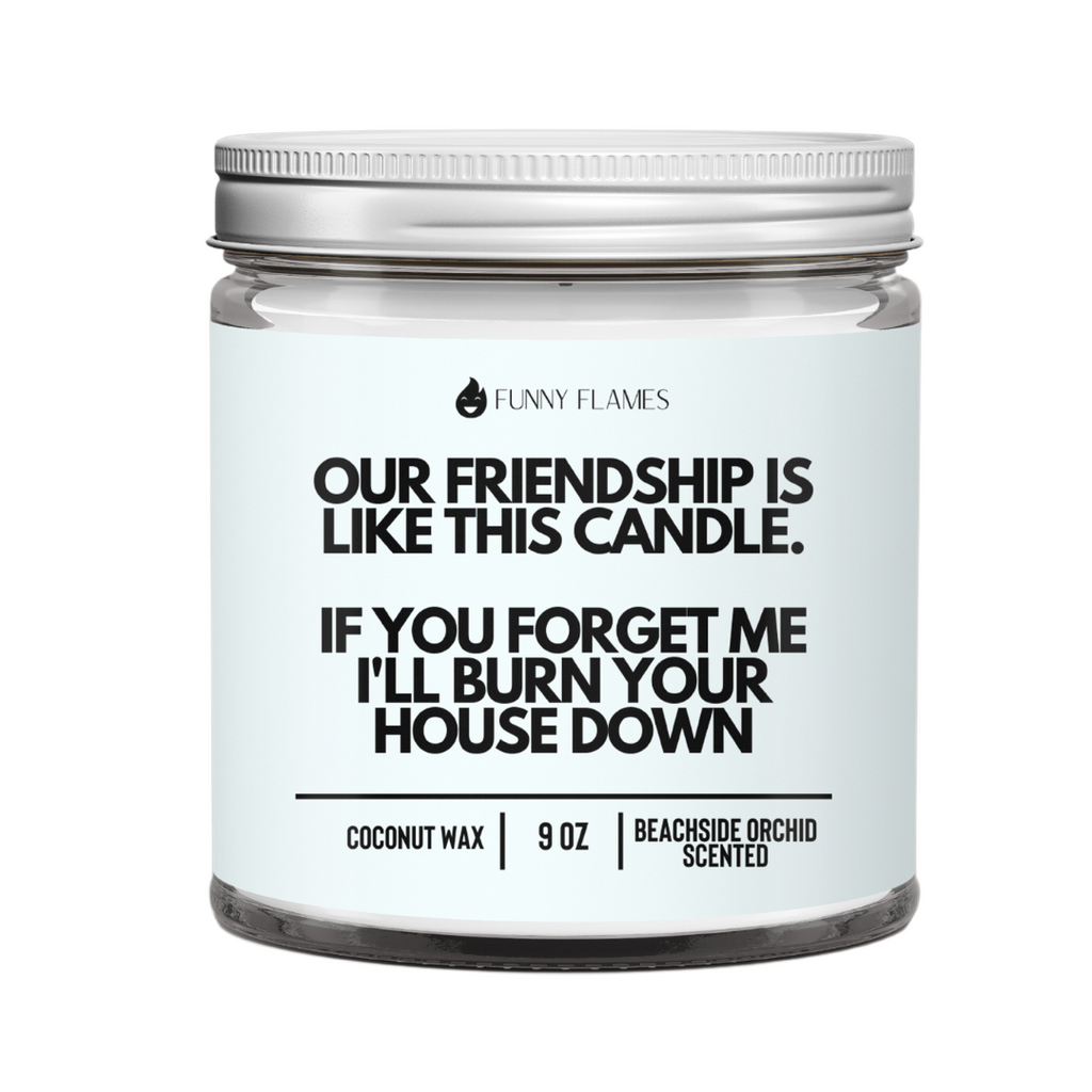 Our Friendship Is Like This Candle if you forget about me i'll burn your house down