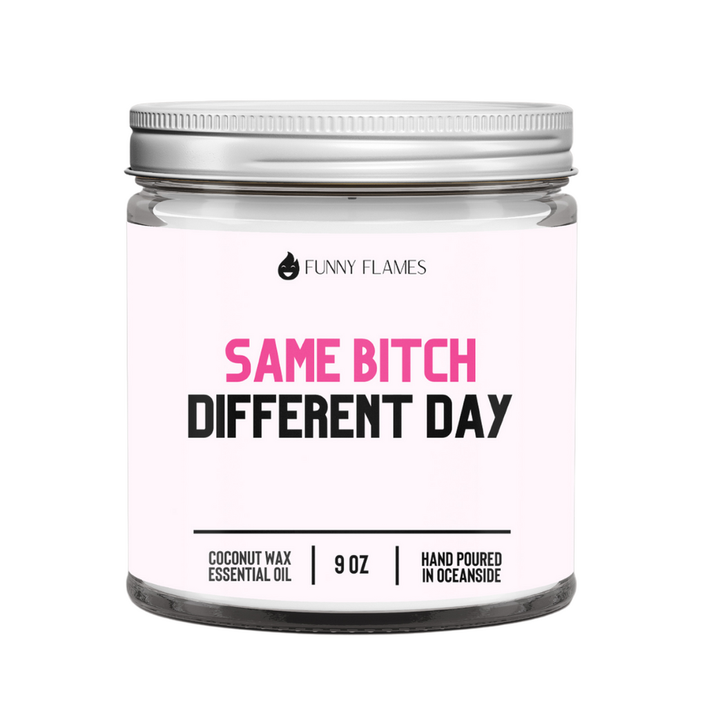 Same Bitch, Different Day